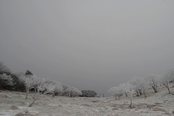 2013 霧氷の三峰山(奈良県)