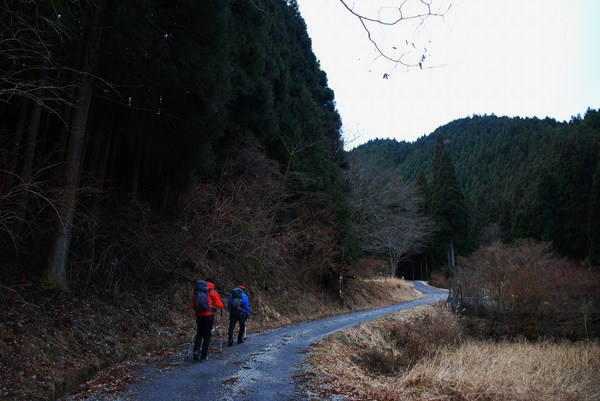 2013 霧氷の三峰山(奈良県)