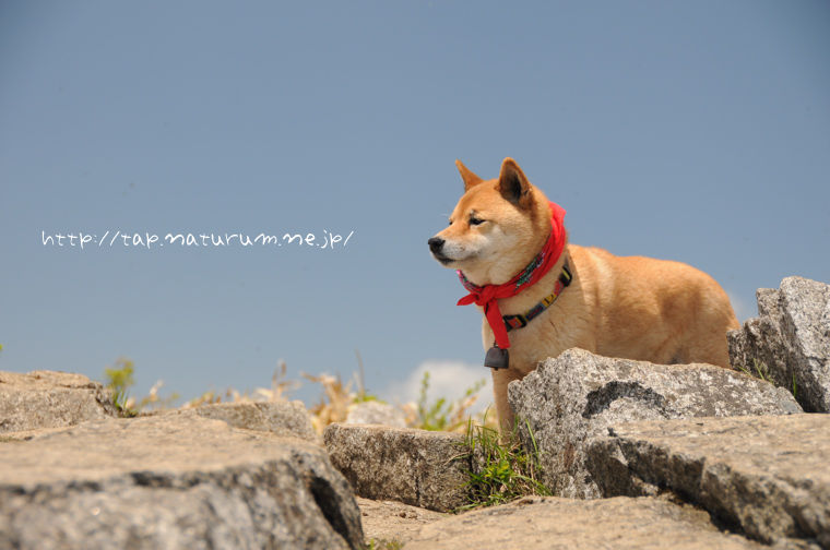 姫神山 城内コース