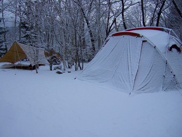 信州赤倉の森で雪中キャンプ(^O^)