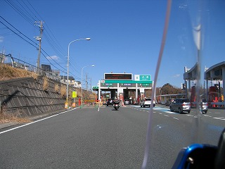 河津桜