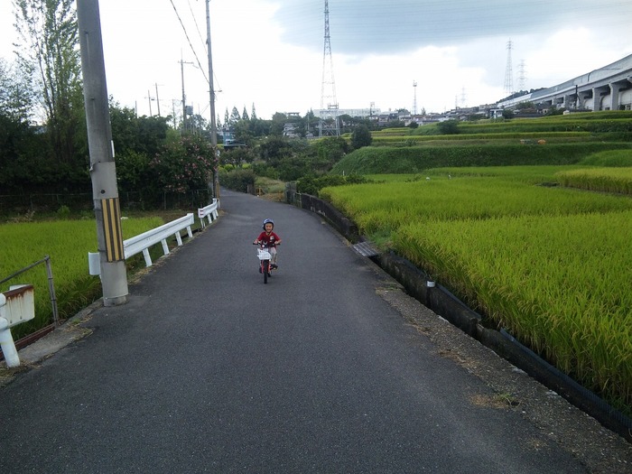どれでも一緒!? かなのランドセル