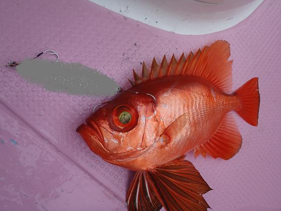 11 沖15