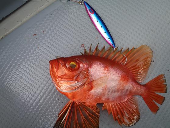 10 沖17