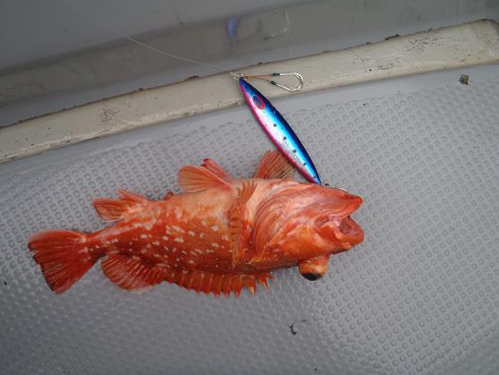 10 沖17