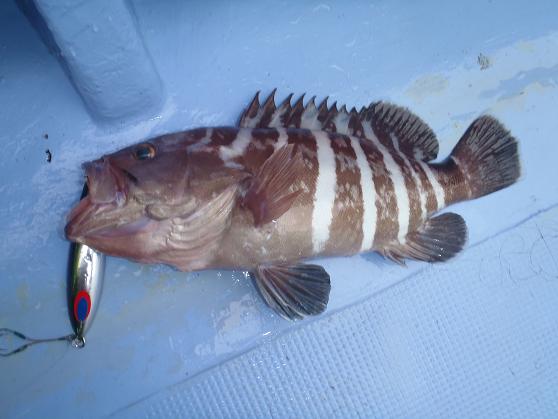 10 沖19
