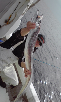 11月5日 太刀魚