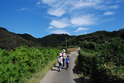 耐性テスト 津久井浜オレンジロード(三浦富士~砲台山~武山)