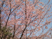 2010/03/19の記録