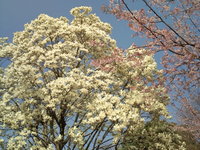 2010/03/19の記録