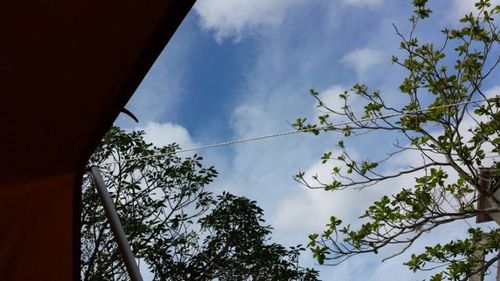 梅雨キャン
