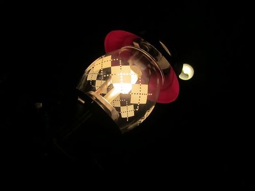 春休みキャンプ