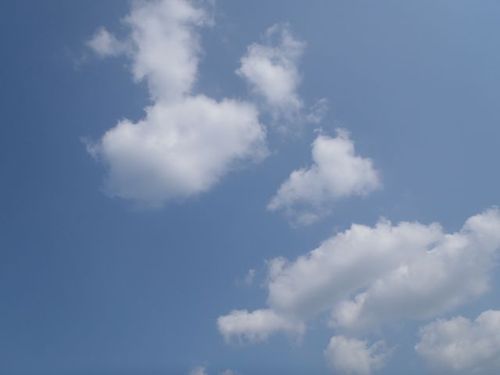 天気が良すぎるので、、、