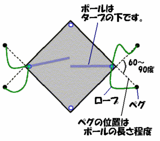 ひとりで張れるもん