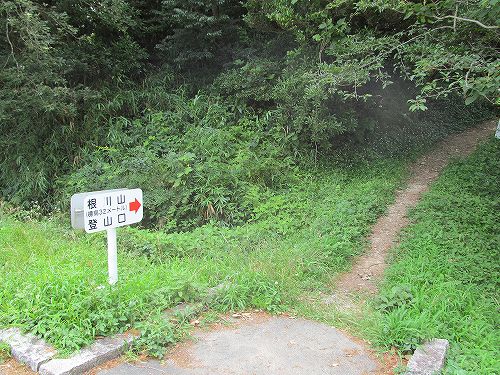 静岡県最低峰　根川山