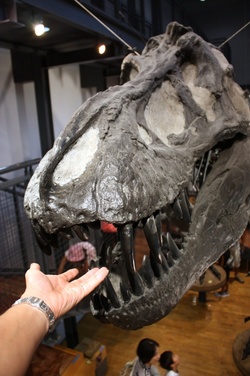 夏の思い出　「福井県立恐竜博物館」