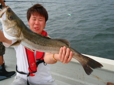 8月13日カズボート多魚種ゲーム