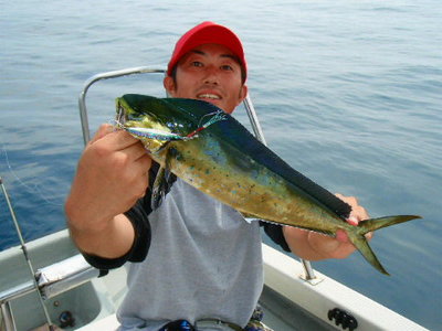 8月13日カズボート多魚種ゲーム