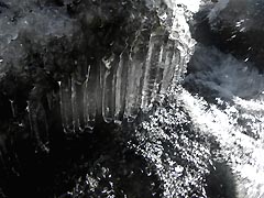つらら