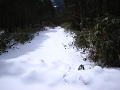 入渓点