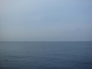 釣れるって・・・・聞いたんですが!