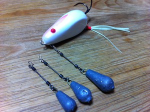 爆風でもタコ釣れます(笑)