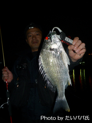 いつもの漁港へ・・・・。