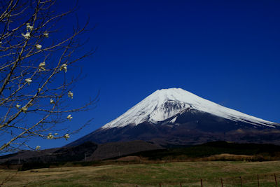 富士山を撮る