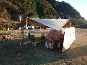白コットン 白コットン