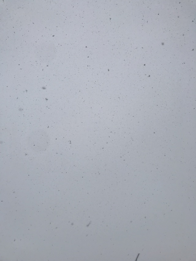 8ヶ月ぶり〜 8ヶ月ぶり〜