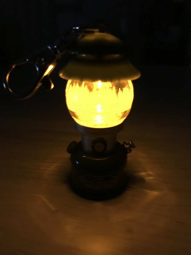 買ったものは、、、 買ったものは、、、