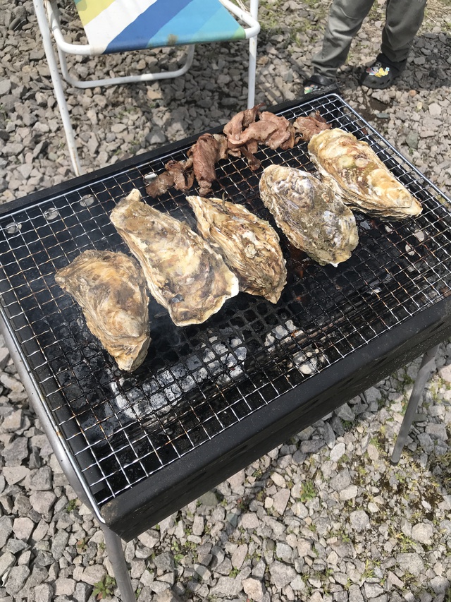 ボクは羊でできているかも ボクは羊でできているかも