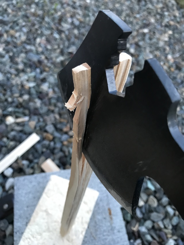 キノコの中身 キノコの中身