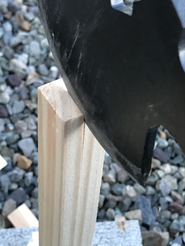 キノコの中身 キノコの中身