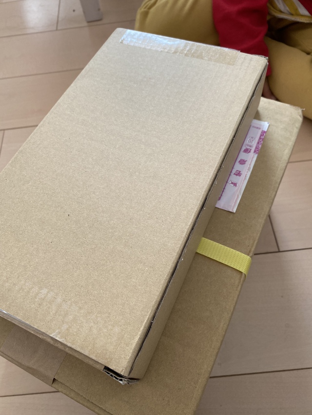だいぶ前に迷ったもの だいぶ前に迷ったもの