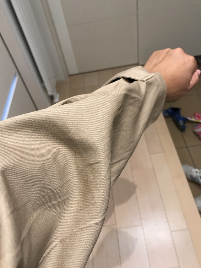 手に入れてみました 手に入れてみました