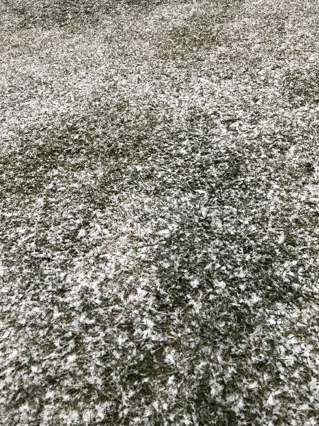 8ヶ月ぶり〜 8ヶ月ぶり〜