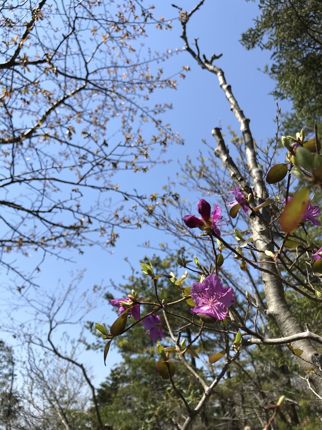2日に1回はおつかれ山 2日に1回はおつかれ山
