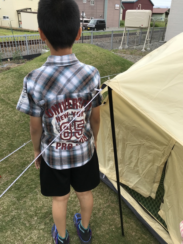 KINOKO TENTO がニョッキニョキ〜 KINOKO TENTO がニョッキニョキ〜