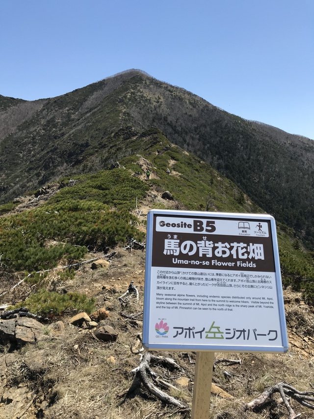2日に1回はおつかれ山 2日に1回はおつかれ山