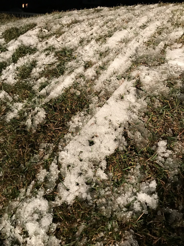 8ヶ月ぶり〜 8ヶ月ぶり〜