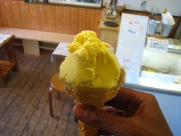 夏・北海道ツーリング(10日目)