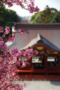 お参り