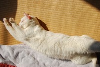 暖かいですね~