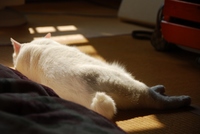 暖かいですね~