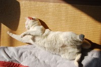 暖かいですね~