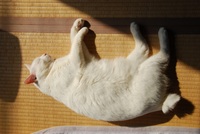 暖かいですね~