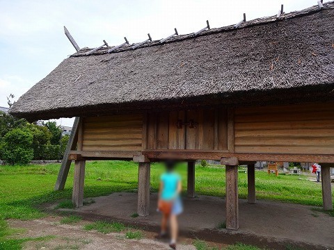 駿河あたりで。 駿河あたりで。