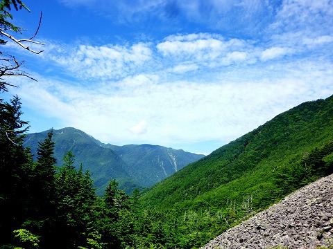 夏だから仙丈ヶ岳