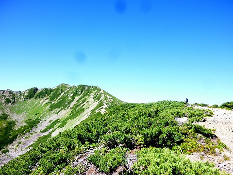 夏だから仙丈ヶ岳